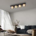 Lampa sufitowa RIKA Paul Neuhaus 6164-18