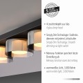 Lampa sufitowa RIKA Paul Neuhaus 6164-18
