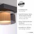 Lampa sufitowa RIKA Paul Neuhaus 6162-18