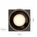 Lampa sufitowa RIKA Paul Neuhaus 6162-18