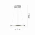 Lampa wisząca HOOP Paul Neuhaus 2851-95