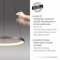 Lampa wisząca HOOP Paul Neuhaus 2851-36