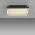 Lampa sufitowa Q-MAGONG Paul Neuhaus 6316-18