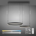 Lampa wisząca ESKO Czarny LED 2700-5000K 2360-18 Paul Neuhause