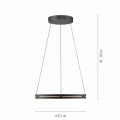 Lampa wisząca PURE E-LOOP Czarny LED 2700-5000K 2551-18 Paul Neuhause