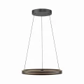 Lampa wisząca PURE E-LOOP Czarny LED 2700-5000K 2551-18 Paul Neuhause