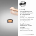 Lampa wisząca RIKA Paul Neuhaus 2113-18