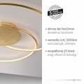 Lampa sufitowa NASTRO Paul Neuhaus 6189-12