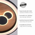 Lampa sufitowa ELIZA Paul Neuhaus 6284-79