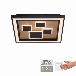 Lampa sufitowa ELIZA Paul Neuhaus 6283-79