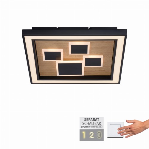 Lampa sufitowa ELIZA Paul Neuhaus 6283-79