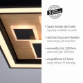 Lampa sufitowa ELIZA Paul Neuhaus 6283-79