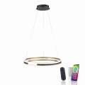Lampa wisząca Q-BELUGA Paul Neuhaus 2051-60