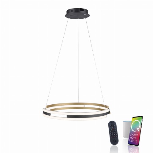 Lampa wisząca Q-BELUGA Paul Neuhaus 2051-60
