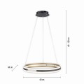 Lampa wisząca Q-BELUGA Paul Neuhaus 2051-60