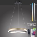 Lampa wisząca Q-BELUGA Paul Neuhaus 2051-60
