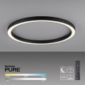 Lampa wisząca PURE-LINES 6306-13 Paul Neuhaus