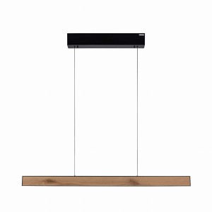 Lampa wisząca PURE E-MOT Paul Neuhaus 2570-79