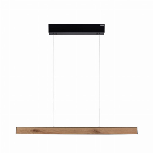 Lampa wisząca PURE E-MOT Paul Neuhaus 2570-79