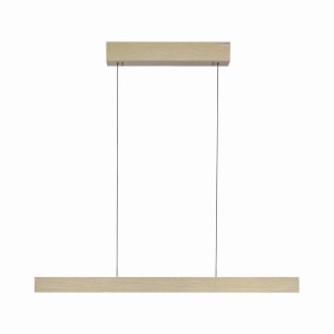 Lampa wisząca PURE E-MOT Paul Neuhaus 2570-60