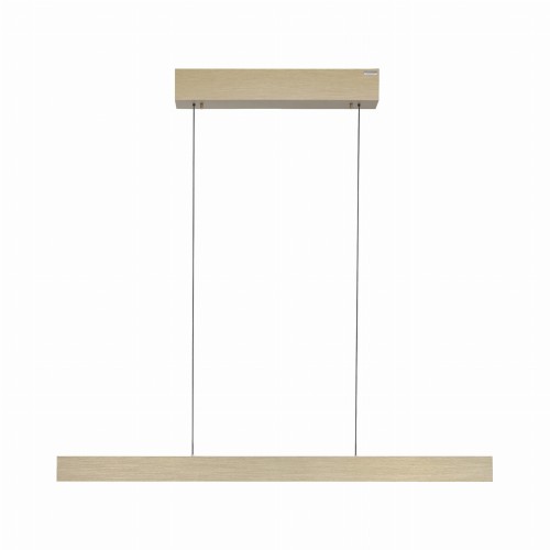 Lampa wisząca PURE E-MOT Paul Neuhaus 2570-60
