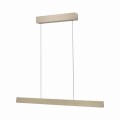 Lampa wisząca PURE E-MOT Paul Neuhaus 2570-60