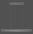 Lampa wisząca PURE E-MOT Paul Neuhaus 2570-15
