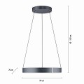Lampa wisząca PUREE-CLIP Paul Neuhaus 2561-15