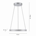 Lampa wisząca PUREE-LOOP Paul Neuhaus 2551-95