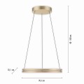 Lampa wisząca PUREE-LOOP Paul Neuhaus 2551-60