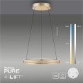 Lampa wisząca PUREE-LOOP Paul Neuhaus 2551-60