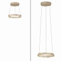 Lampa wisząca PURE E-LOOP Mosiądz LED 2700-5000K 2550-60 Paul Neuhause