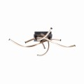 Lampa sufitowa POLINA Paul Neuhaus 9144-18