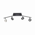 Lampa sufitowa SILEDA Paul Neuhaus 6786-13