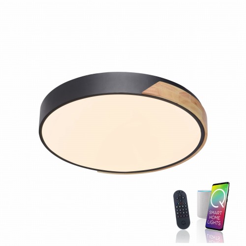 Lampa sufitowa Q-BILA Paul Neuhaus 6071-18