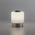 Lampa stołowa BOTA Paul Neuhaus 4037-55