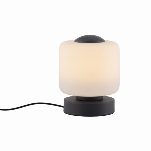 Lampa stołowa BOTA Paul Neuhaus 4037-13
