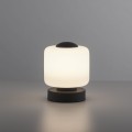 Lampa stołowa BOTA Paul Neuhaus 4037-13