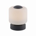 Lampa stołowa BOTA Paul Neuhaus 4037-13