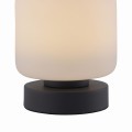 Lampa stołowa BOTA Paul Neuhaus 4037-13