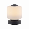 Lampa stołowa BOTA Paul Neuhaus 4037-13