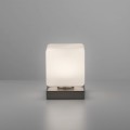 Lampa stołowa DADOA Paul Neuhaus 4036-55