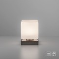 Lampa stołowa DADOA Paul Neuhaus 4036-55