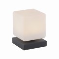 Lampa stołowa DADOA Paul Neuhaus 4036-13