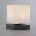 Lampa stołowa DADOA Paul Neuhaus 4036-13