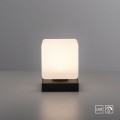 Lampa stołowa DADOA Paul Neuhaus 4036-13