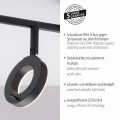 Lampa sufitowa SILEDA Paul Neuhaus 6781-13