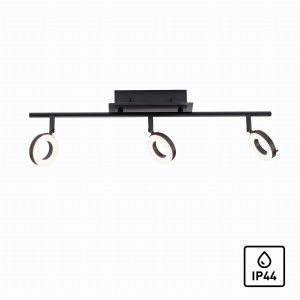 Lampa sufitowa SILEDA Paul Neuhaus 6785-13
