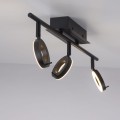 Lampa sufitowa SILEDA Paul Neuhaus 6785-13