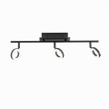 Lampa sufitowa SILEDA Paul Neuhaus 6785-13